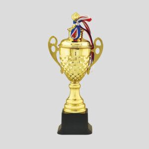 Cup Trophy – 04