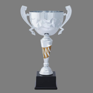 Cup Trophy – 08