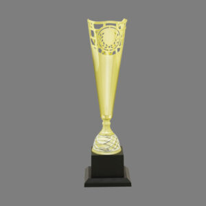 Cup Trophy – 09