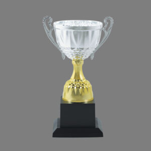 Cup Trophy – 10
