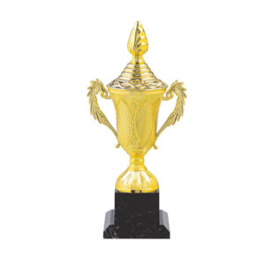 Cup Trophy – 11