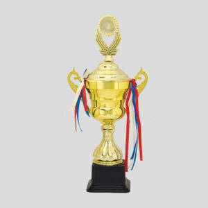 Cup Trophy – 12