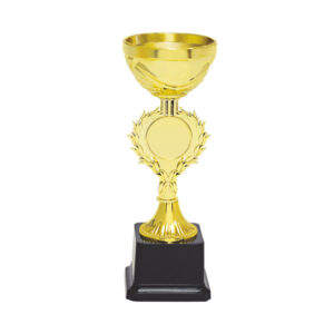 Cup Trophy – 14