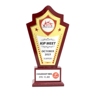 KIP MEET STAR AWARD